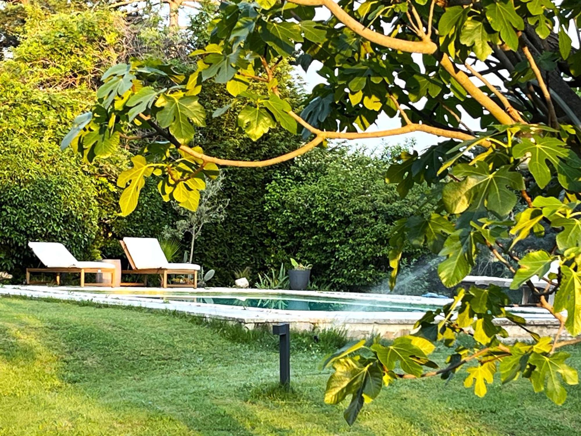 Charmante Maisonnette Avec Jardin Et Piscine